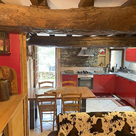 Grange Renovee, Pyrenees Ariegeoises, Gite Haute Ariege Auzat Eksteriør billede