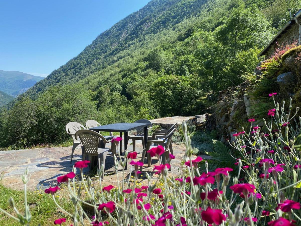 Grange Renovee, Pyrenees Ariegeoises, Gite Haute Ariege Auzat Eksteriør billede
